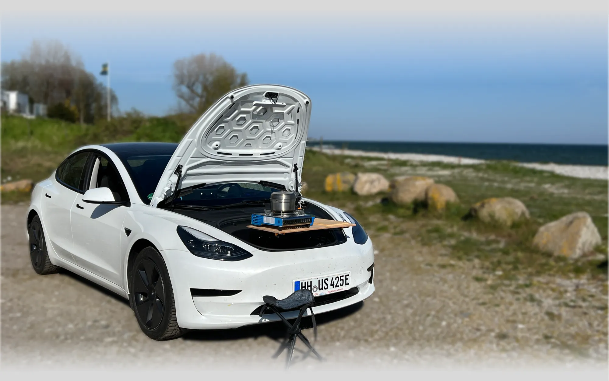 Frunkly in action at the beach